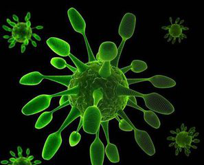 1532048929343042gN8e.png 圖片74.png