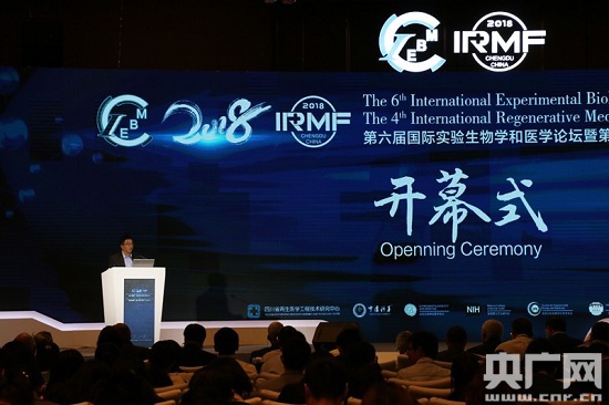 1541752188584635LuOK.jpg 7.jpg