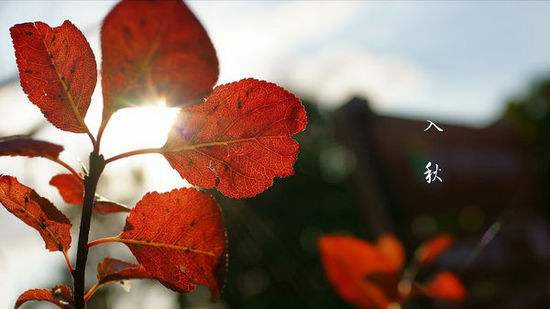 1566352261980581K097.png 圖片1.png