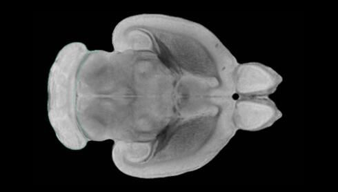 1566872617412071NXxp.jpg 20190818224039573.jpg